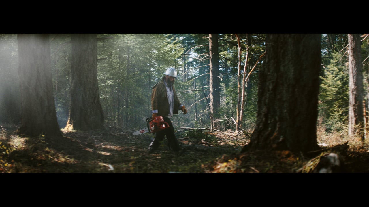 An Oregon crew member out in the woods with his chainsaw